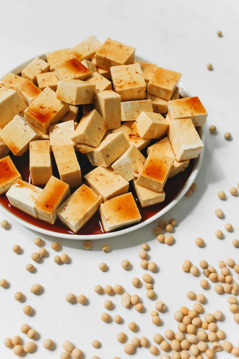 Tofu with soy sauce - Japonity