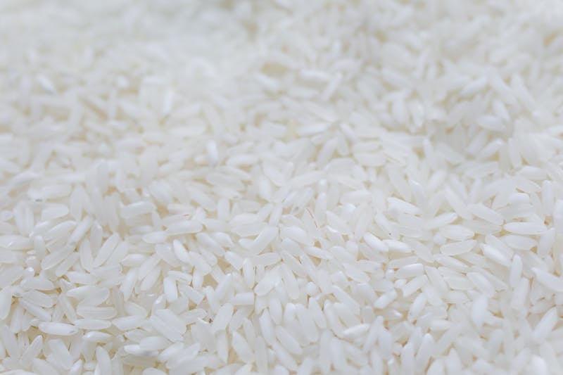 Rice grains close-up