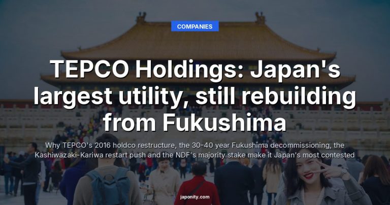 TEPCO Holdings: Japan's largest utility, still rebuilding from Fukushima