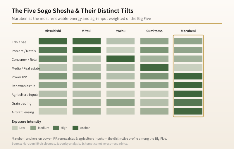 Heatmap comparing the five sogo shosha across nine business segments with Marubeni's power and agriculture positions highlighted.